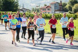 Konjiški maraton 2016