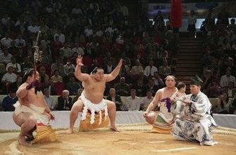 Japonski sumo pod plazom obtožb o zlorabah