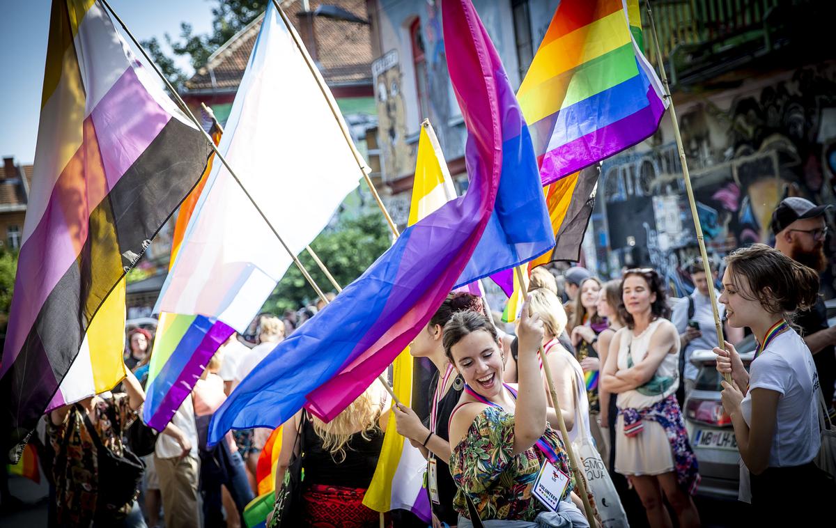 Parada ponosa 2022 | Na lanskem festivalu Parada ponosa v Ljubljani so se udeleženci sprehodili od Metelkove ulice do Kongresnega trga. | Foto Ana Kovač