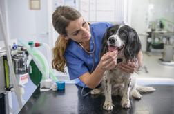 Veterinarji ne skrbijo le za dobrobit živali, ampak tudi za zdravje ljudi