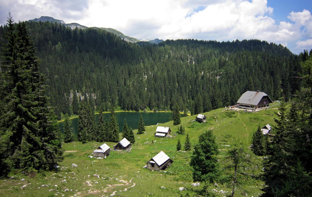 Koča na Planini pri Jezeru