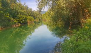 Zadnje analize po požaru v Kemisu kažejo skladne vzorce hrane, a onesnažena v tleh