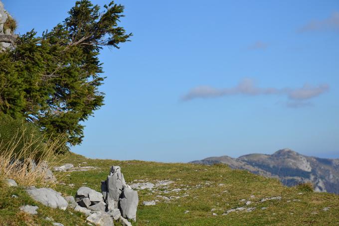 Soriška planina | Foto: TC Soriška planina