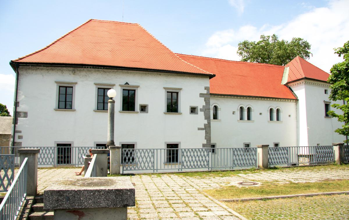 Grad Fužine | Foto Žiga Ponikvar