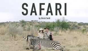 Safari