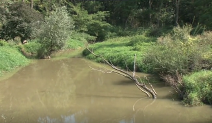 Namesto gozda je na njegovi zemlji nastalo jezero #video