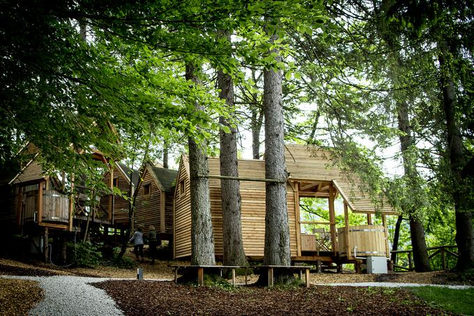 Glamping Ribno | Foto: Ana Kovač