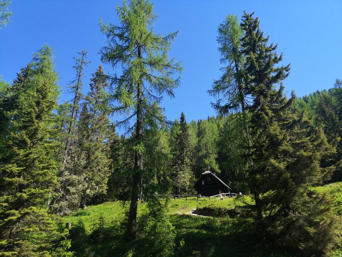 Lovska koča Železnica | Foto: Matej Podgoršek/Planet TV