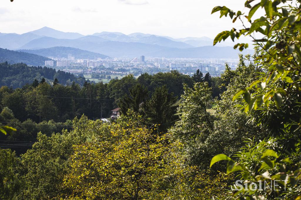 Kmetija Snopičar, Češnjice.