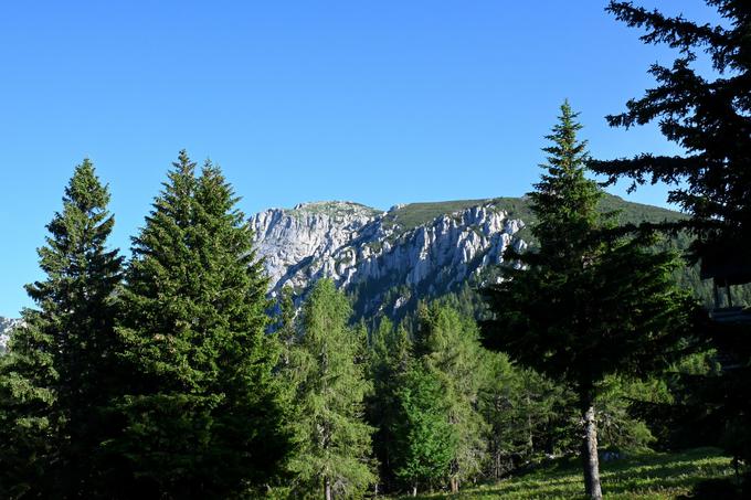 Pogled z Male Pece proti vrhu | Foto: Matej Podgoršek