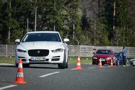 Poligon Vransko - PRIMA prestižna limuzina srednjega razreda: Audi A4, Alfa romeo giulia, BMW 3, Jaguar XE, Lexus IS300h, Mercedes-Benz C