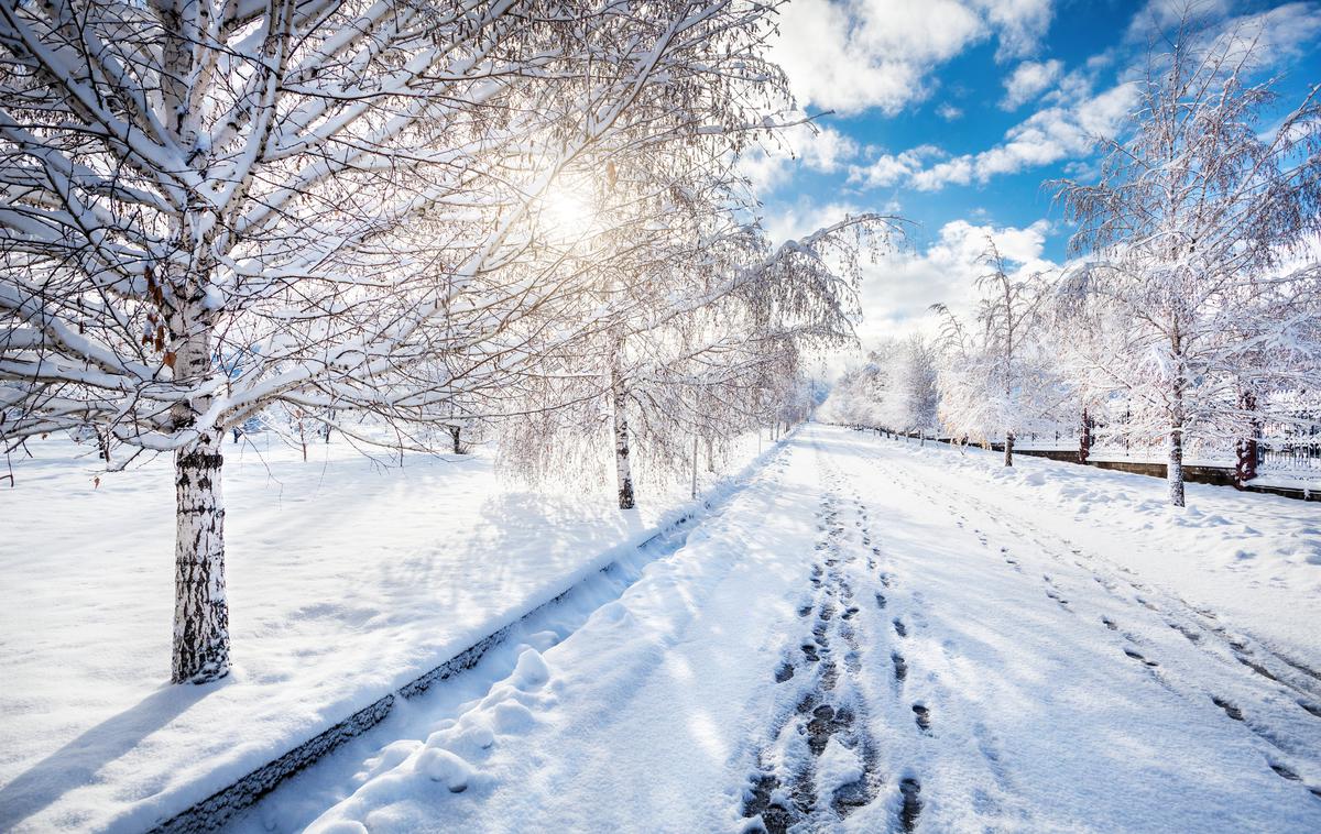 sneg sonce sončen snežni dan | Foto Thinkstock