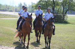 Iztrebki policijskih konjev kot gnojilo