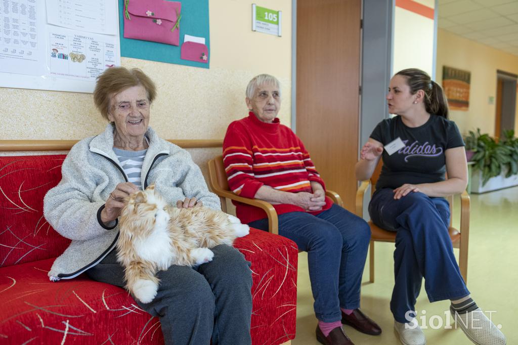 Dom Hmelina Silva Duler Radlje ob Dravi starejši demenca