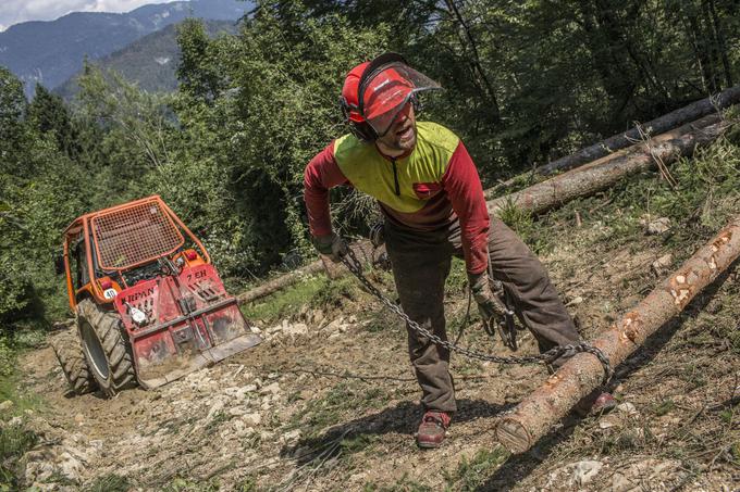 Lubadar Bled Bohinj gozd sečnja gozdar | Foto: Matej Leskovšek