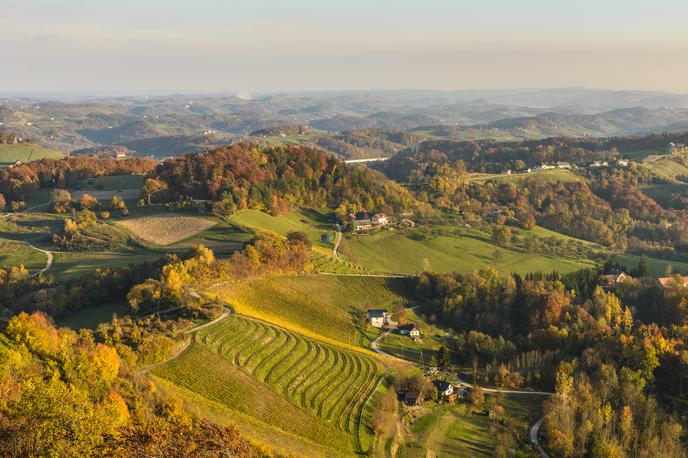 štajerska slovenske gorice | Foto Thinkstock