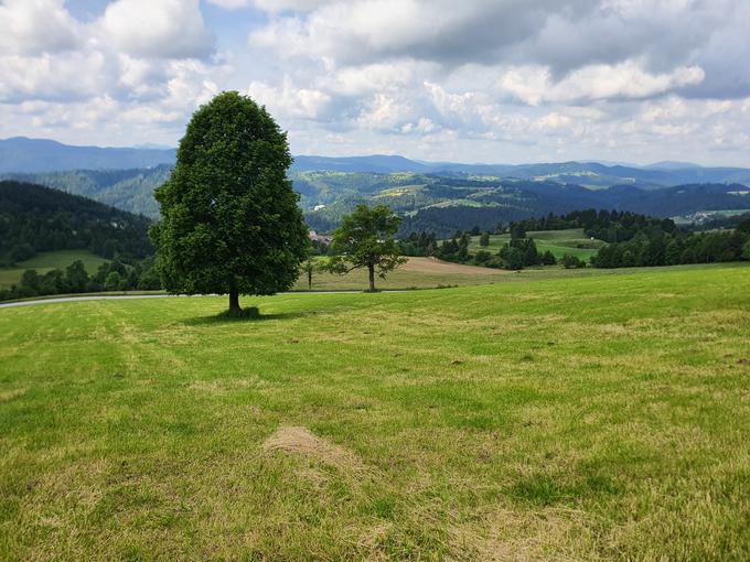 Pokrajina v občini Ribnica | Foto: David Florjančič