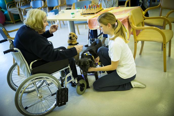 Center starejših Medvode dom za starejše starejši | Sistem zajema institucionalno oskrbo, oskrbo na domu, oskrbovalca družinskega člana in denarni prejemek.  | Foto Ana Kovač