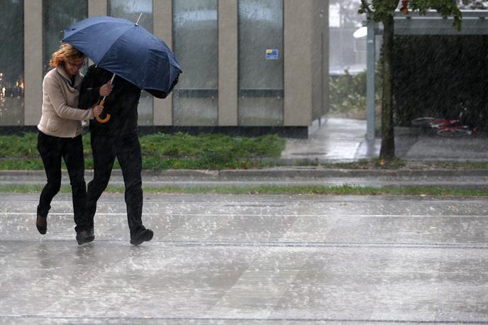 naliv | V drugem delu dneva bodo nastajale krajevne plohe in nevihte z močnimi sunki vetra.  | Foto Ana Kovač