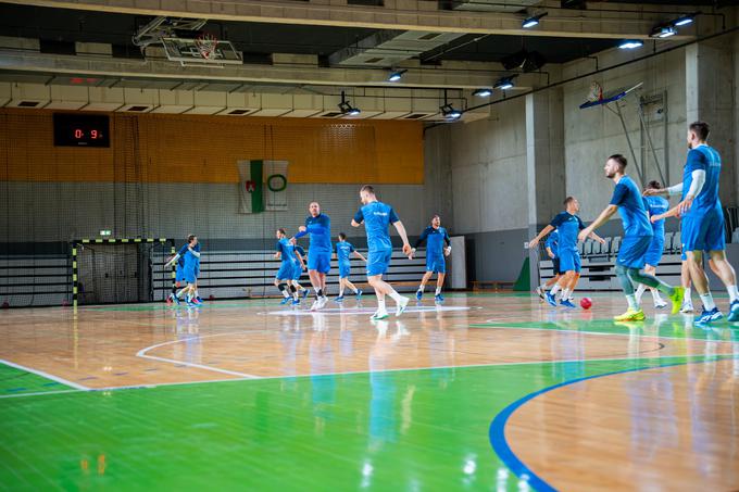 Slovenski rokometaši bodo danes poleteli proti Franciji. | Foto: Jakob Pintar/STA