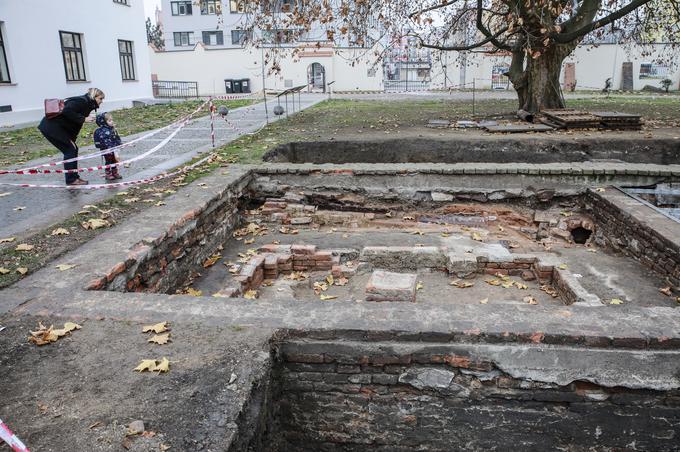 Na fotografiji so arheološke izkopanine nekdanjega Mendlovega rastlinjaka, v katerem je ta izvajal poskuse z grahom. | Foto: Guliverimage/Vladimir Fedorenko