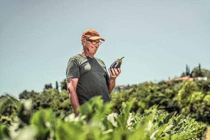 Lidl Agrarija | Foto: Klemen Razinger