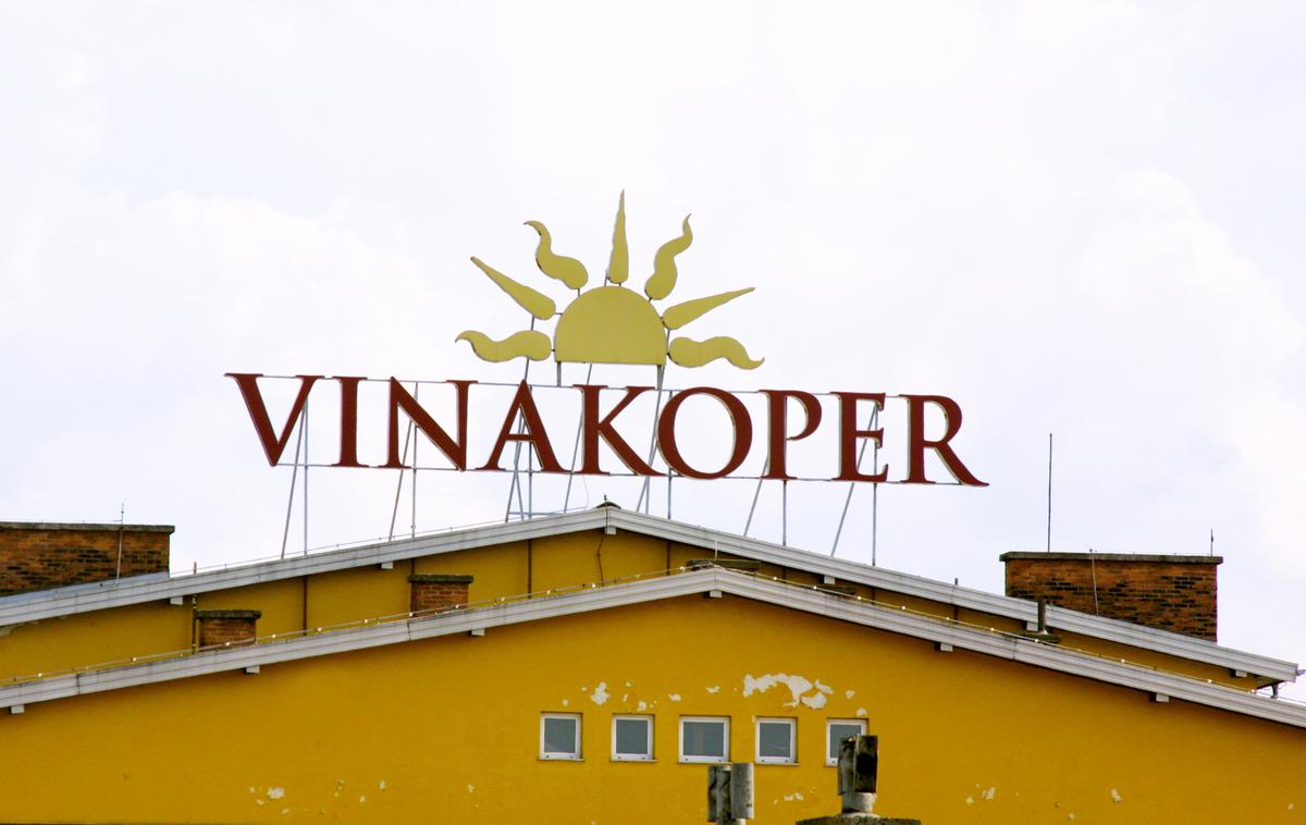 Vina Koper | V podjetju Vina Koper sicer pravijo, da so svoj kanalizacijski sistem temeljito uredili, zato si onesnaženja ne znajo razložiti. | Foto Bojan Puhek