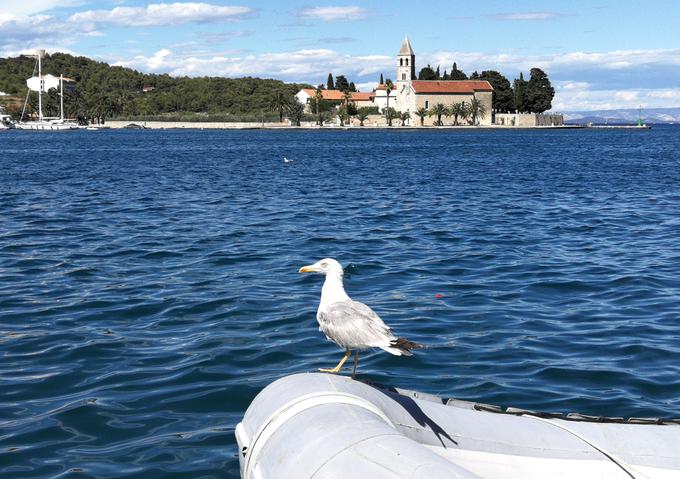 otok Vis | Foto: Nina Vogrin