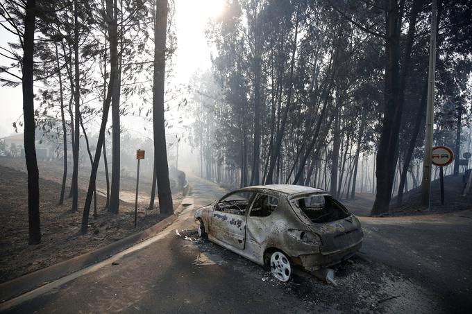 Požar Portugalska | Foto: Reuters