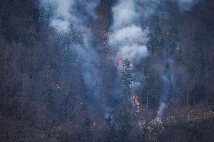 gozdni požar | Še pred vrhuncem požarne sezone, ki se v Kanadi ponavadi začne julija in avgusta, so ognjeni zublji zajeli površino, ki je približno enaka štirikratni površini Slovenije. Fotografija je simbolična. | Foto STA