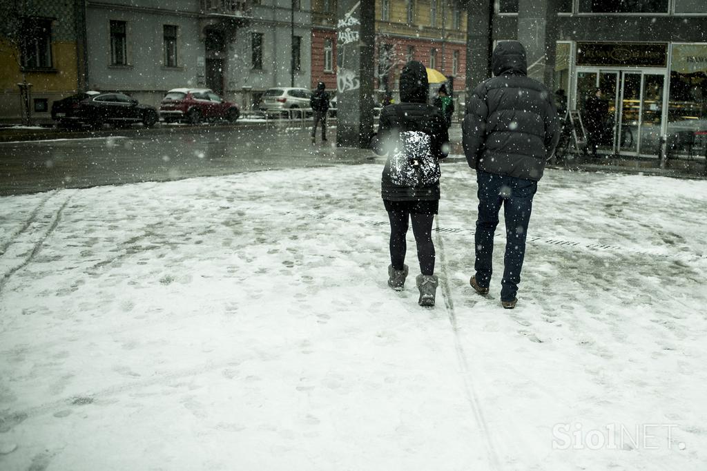 Sneženje v Ljubljani