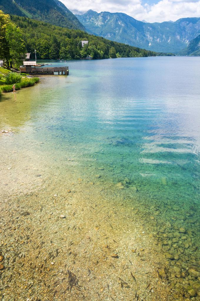 Bohinj | Foto: 