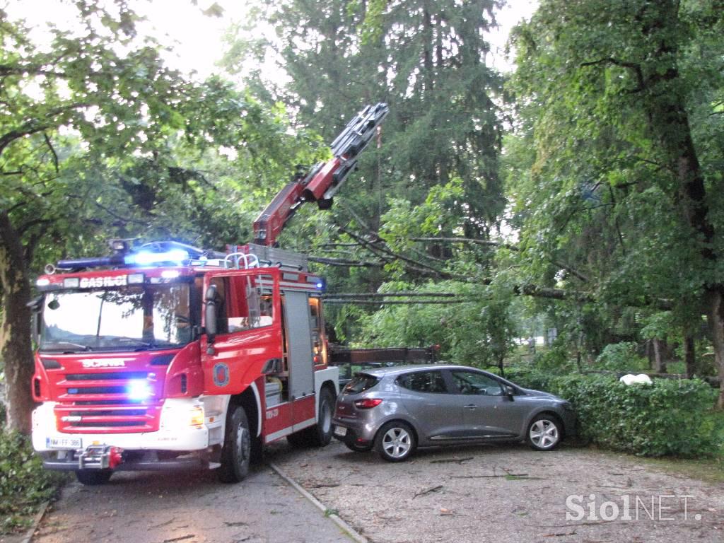 Posledice neurja na Dolenjskem