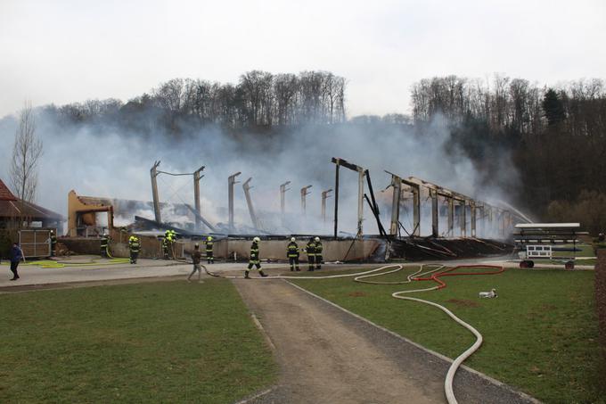 Gašenje požara blizu Lipnice | Foto: Stadtfeuerwehr Leibnitz