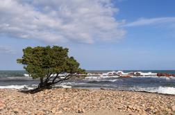 Na Sardiniji zaradi spominkov s plaže ovadili turiste