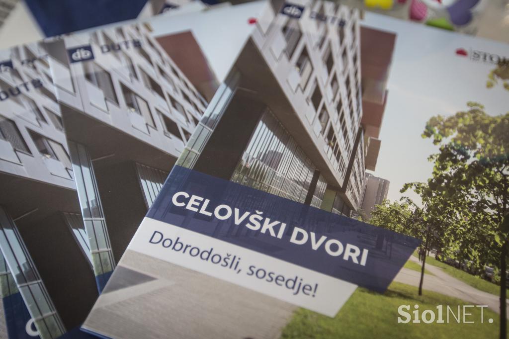 Celovški dvori