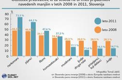 V Sloveniji za krizo (upravičeno) ne krivimo priseljencev