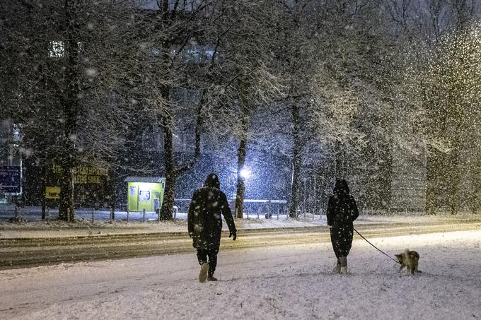 Na Notranjskem in v višje ležečih predelih Gorenjske, Koroške in Dolenjske bo zapadlo od 15 do 30 centimetrov, piše na spletni strani neurje.si. | Foto: Ana Kovač