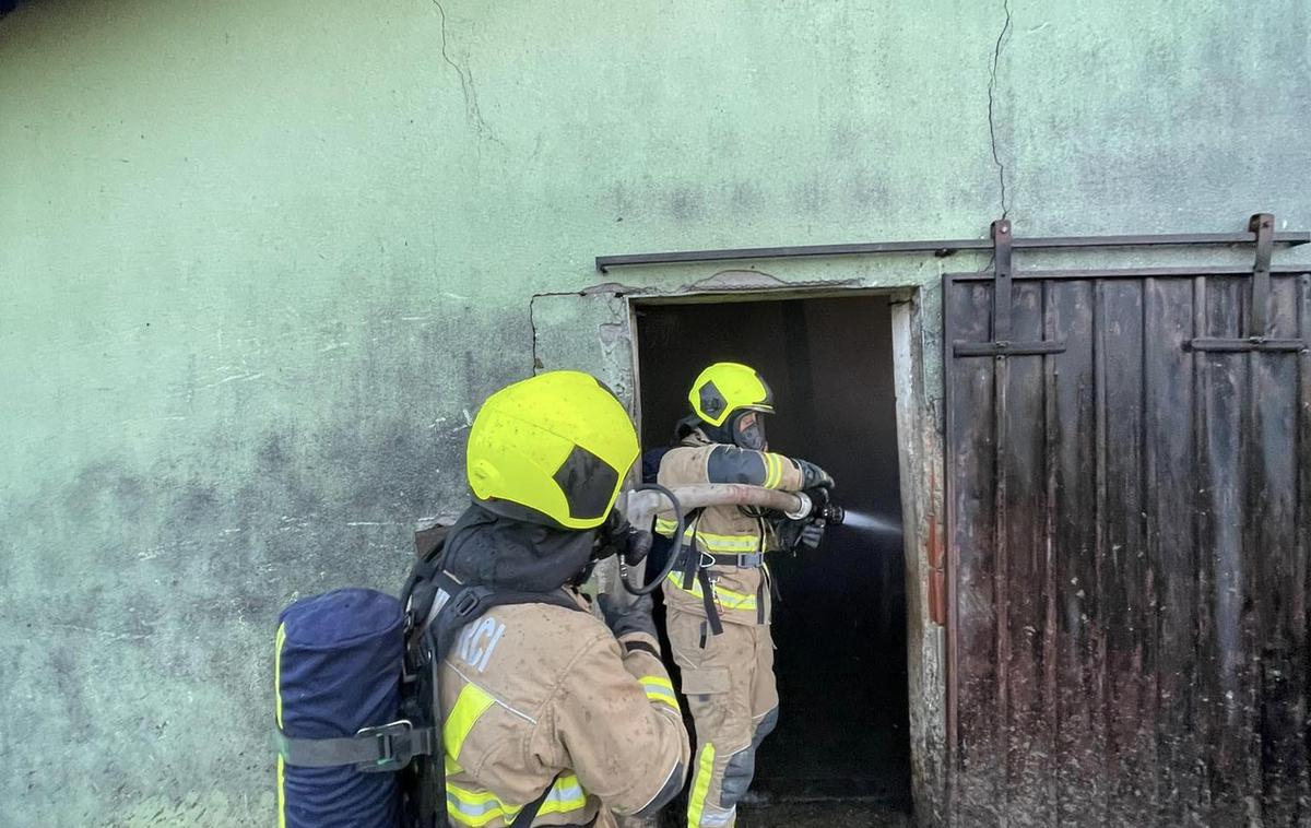 gasilci, reševanje, gašenje, hlev | Uspelo jim je rešiti živino.  | Foto PGD Vitomarci