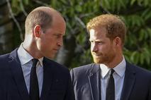 Princa William in Harry