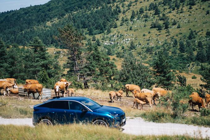 Peugeot 3008, Nanos | Foto: Jan Lukanović