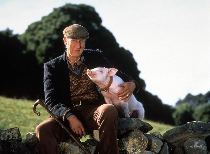 James Cromwell v filmu Pujsek Babe | Foto: 