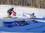 World Ski Pro Tour