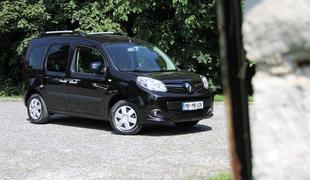 Renault kangoo: razdelili si ga bodo družine in obrtniki