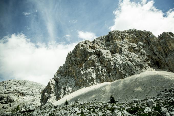 Pot na Zasavsko kočo na Prehodavcih (Prehodavci) | Foto: Ana Kovač