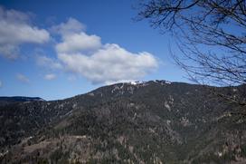 Turistična kmetija Kladje Andreja Henrik Podlesnik Ljubno