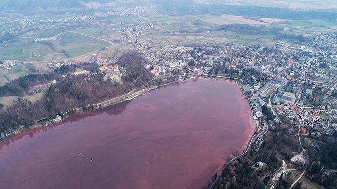 Blejsko jezero rdeče | Foto: Jani Kolman