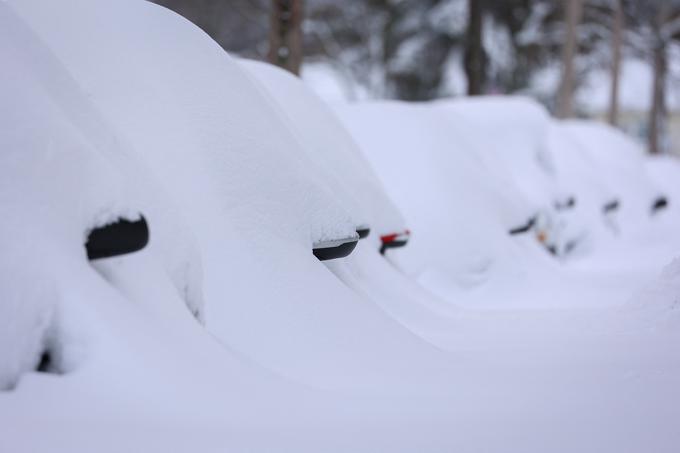 sneg, ZDA | Foto: Reuters