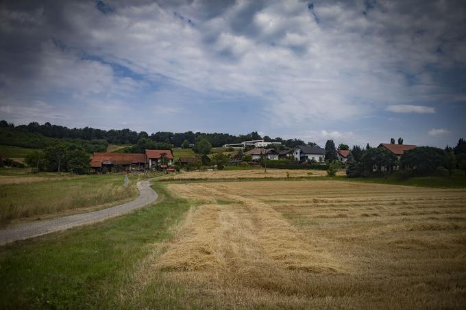 Na poti v Ljutomer | Foto: Ana Kovač