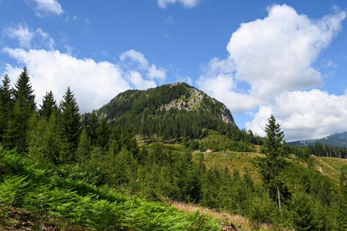 Ob poti proti planini Roblek se odpre ta pogled na Virnikov Grintovec. Na poti pristopa tako lepega ni. | Foto: Matej Podgoršek